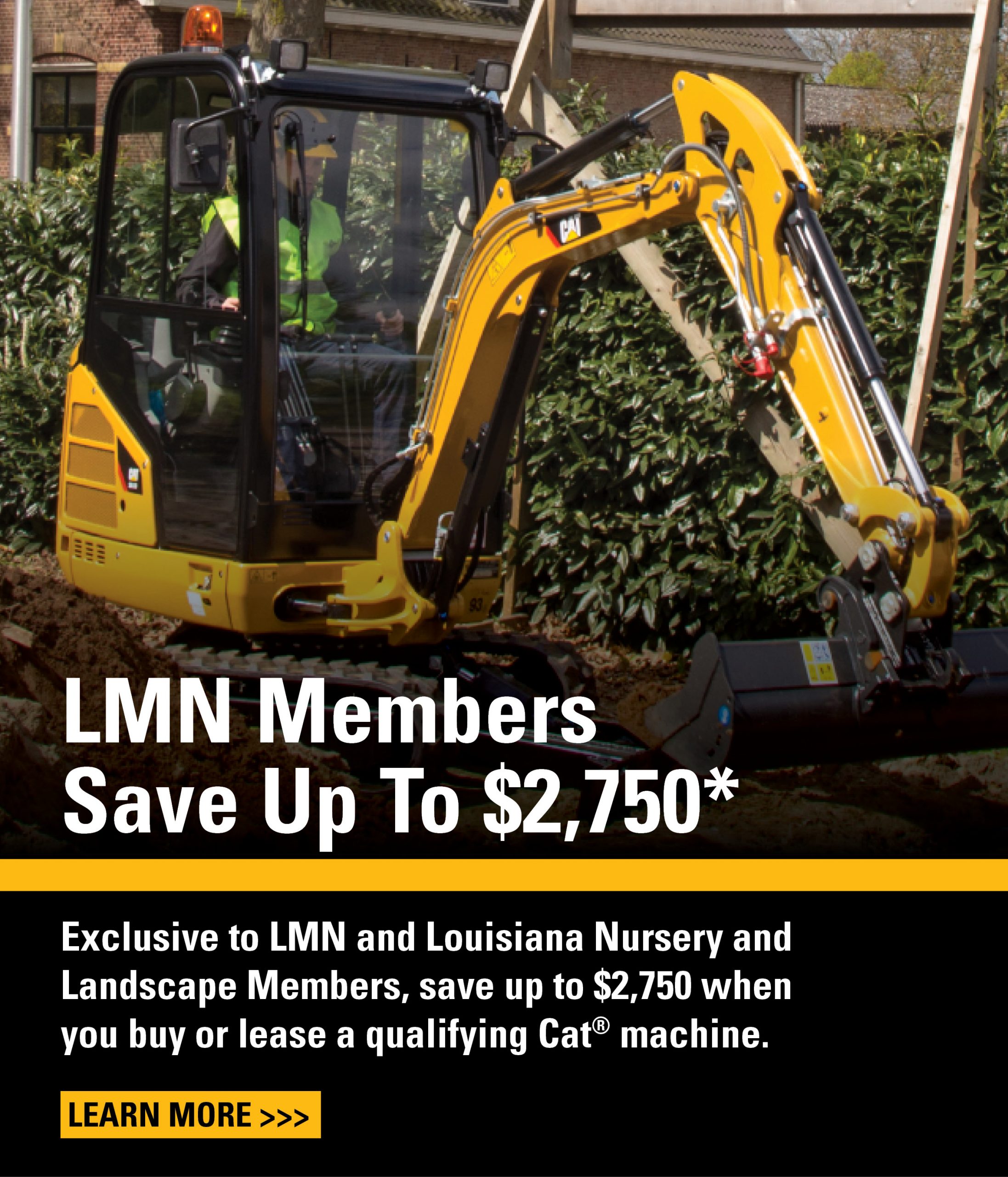 Promotions Louisiana Cat