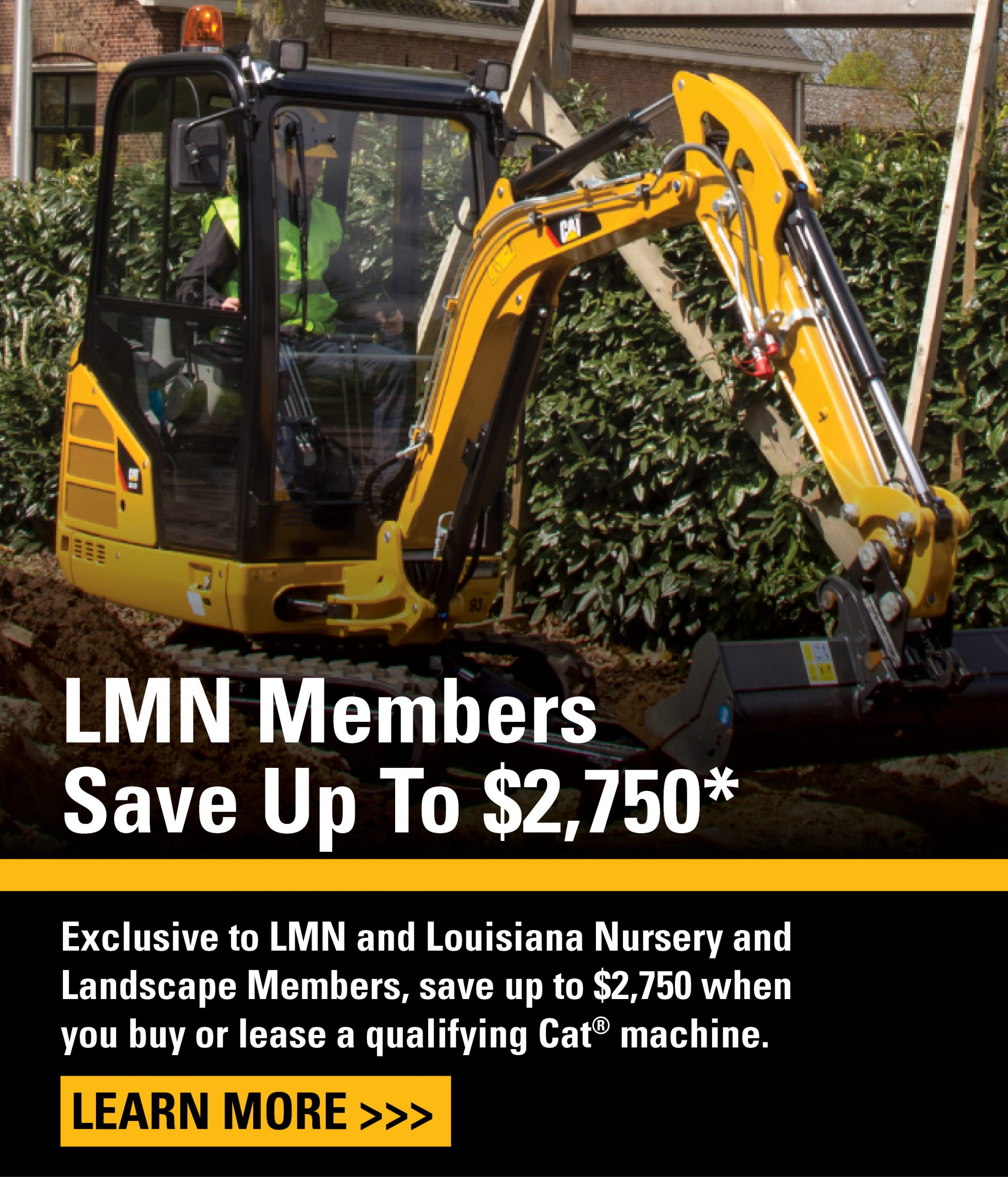 Promotions Louisiana Cat