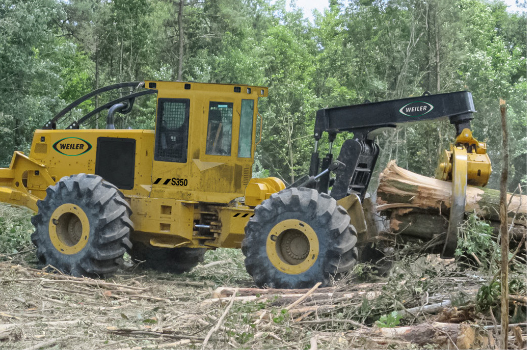 Weiler Forestry Louisiana Cat